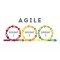 Agile Project Management: Preparation for Agile Certified Practitioner (PMI-ACP)®