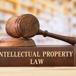Certificate in Intellectual Property (CIP)
