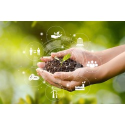 Certificate in Sustainability Management