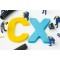 ISM Endorsed Customer Experience (CX) and Brand Activation Professional