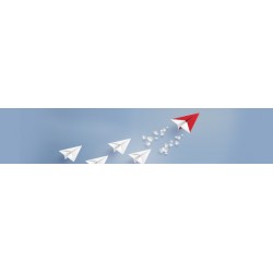 SBS Endorsed - Certificate in Leading Innovation and Organizational Transformation