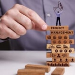 Project Portfolio Management: Skills and Techniques