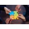 Managing Project Stakeholders