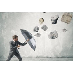 Certified Crisis Management Professional (CCMP)
