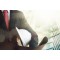 Preparation for Project Management Professional (PMP)® Certification