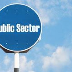 Strategy Management in the Government and Public Sectors