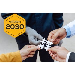 Vision 2030 and Beyond: Strategy Development in the Government and Public Sectors